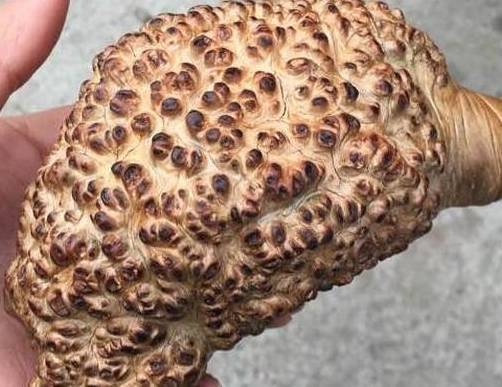 一坨让人看了就恶心想吐的东西,竟被人高价收藏!_文玩_价值_市场