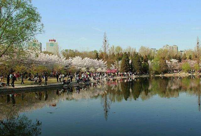 北京一座超低调的公园，凭借两元门票人气大涨，被誉为首都江南！