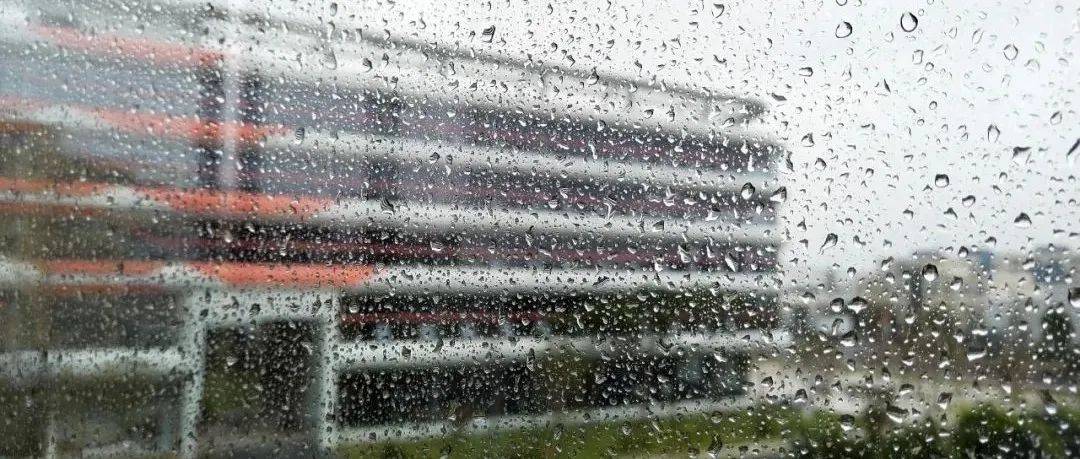 解除高温红色预警信号！昨夜今晨，绵阳多地大雨、暴雨… 降雨 白天 站点