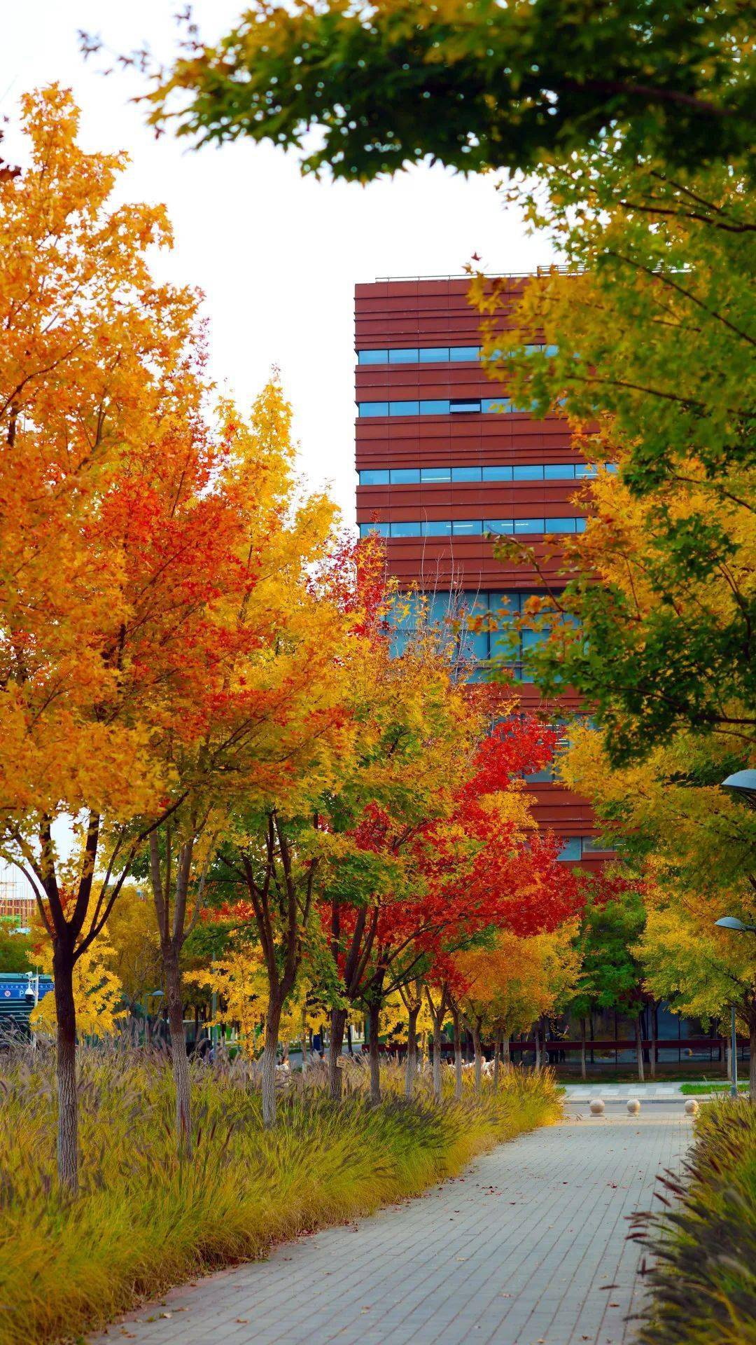 80幅作品入选,勾勒大美北化"新"颜值_玉屏_张君恺_三等奖