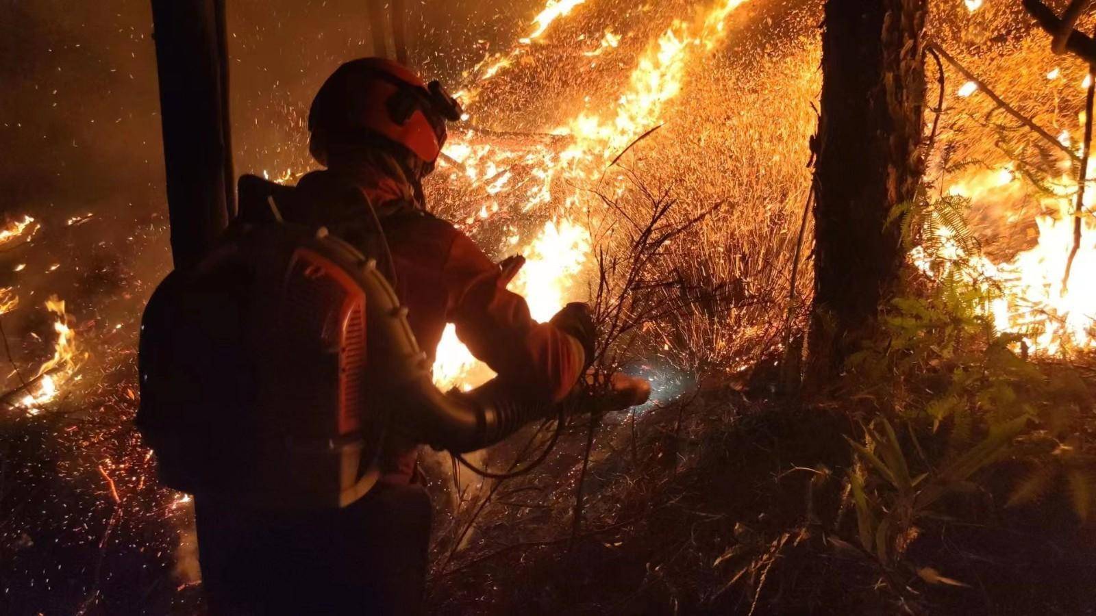人报甘头条|甘肃森林消防员重庆救火 14天连续转战 7个火场_队伍_灭火