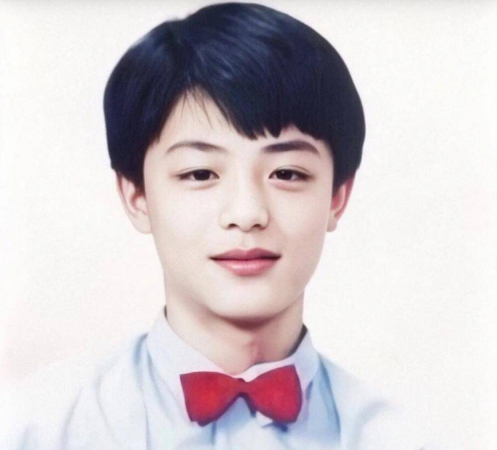 陈晓_时期_霍建华