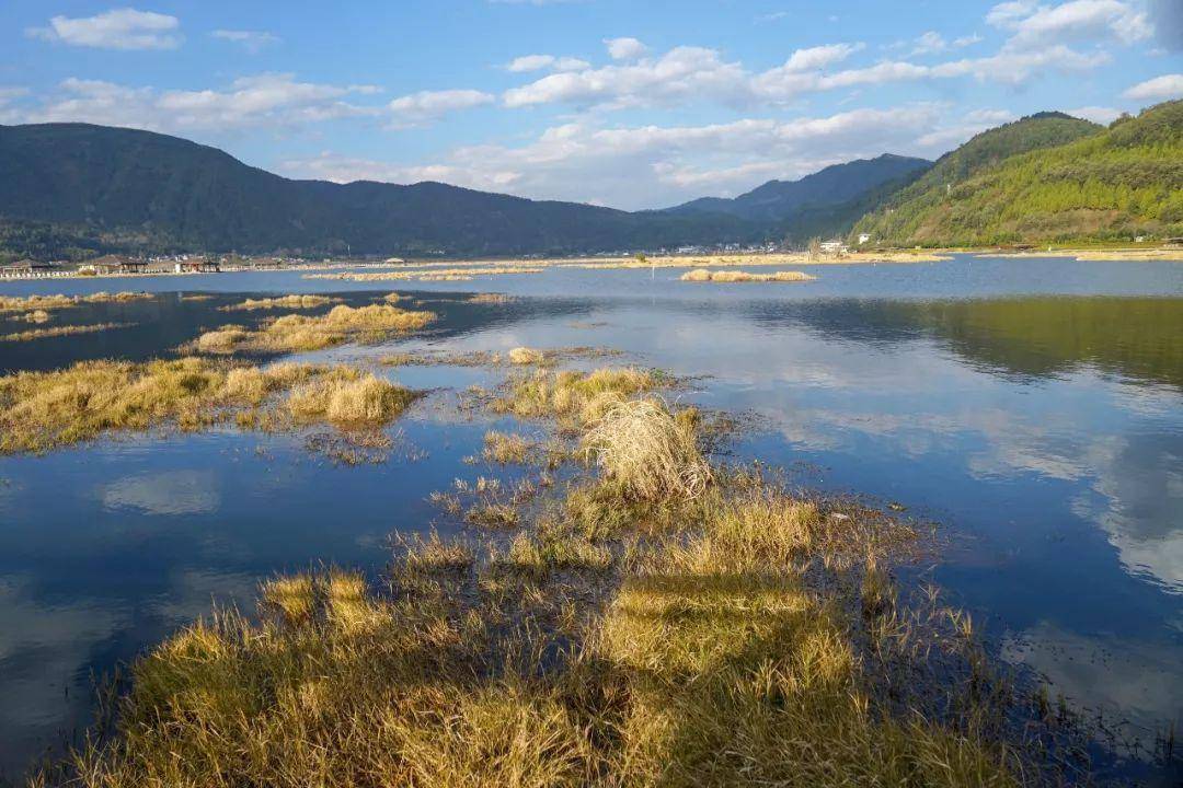 云南腾冲奇观，飘浮在水面的草原！世界唯一的湖泊浮毯，太神奇