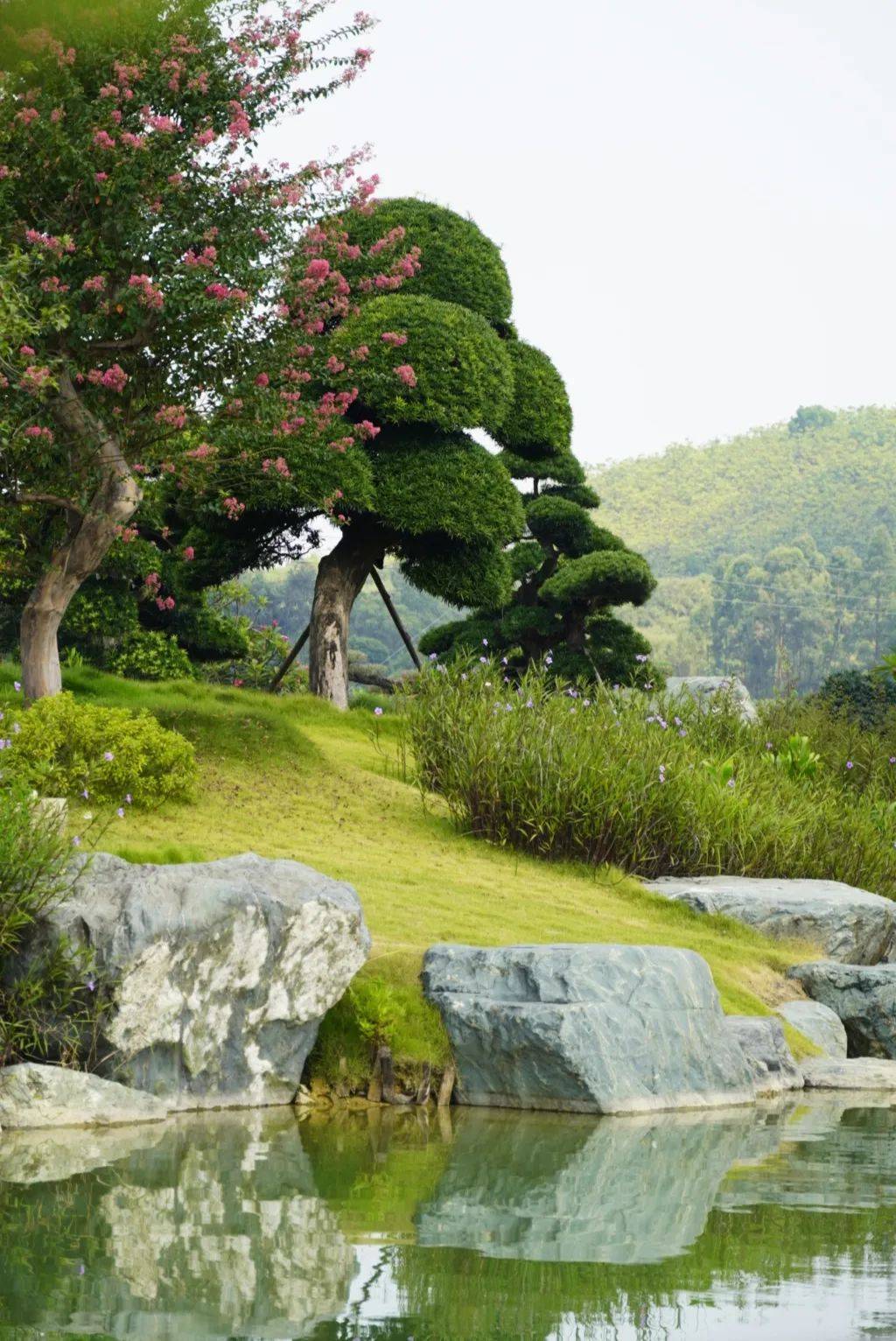 逸翠園除了有雅緻的盆景園林,竹洞村還有許多大型鮮花種植基地.