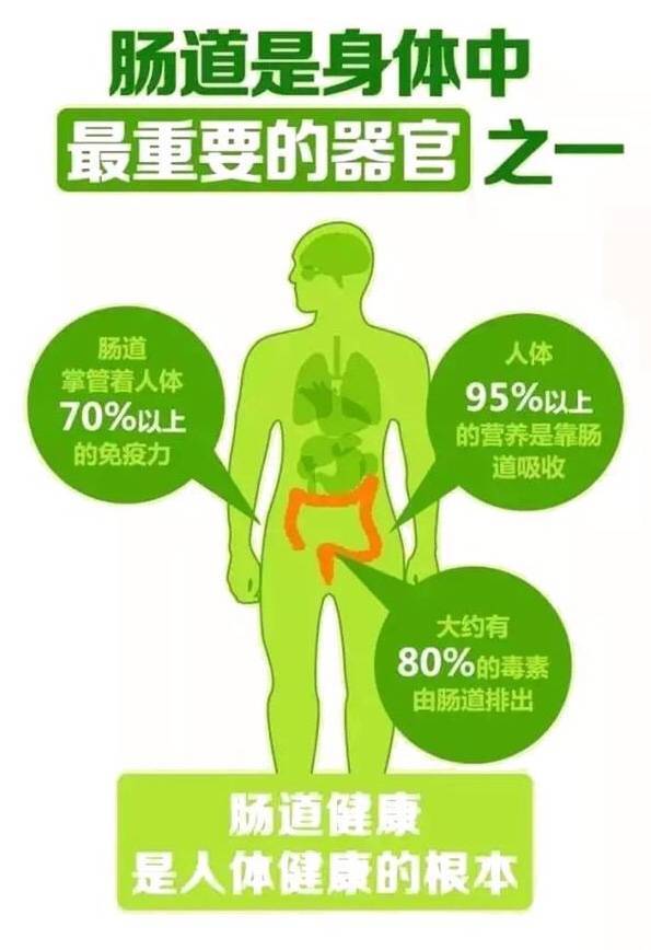 肠道菌群失调的6个信号_人体_研究_食物