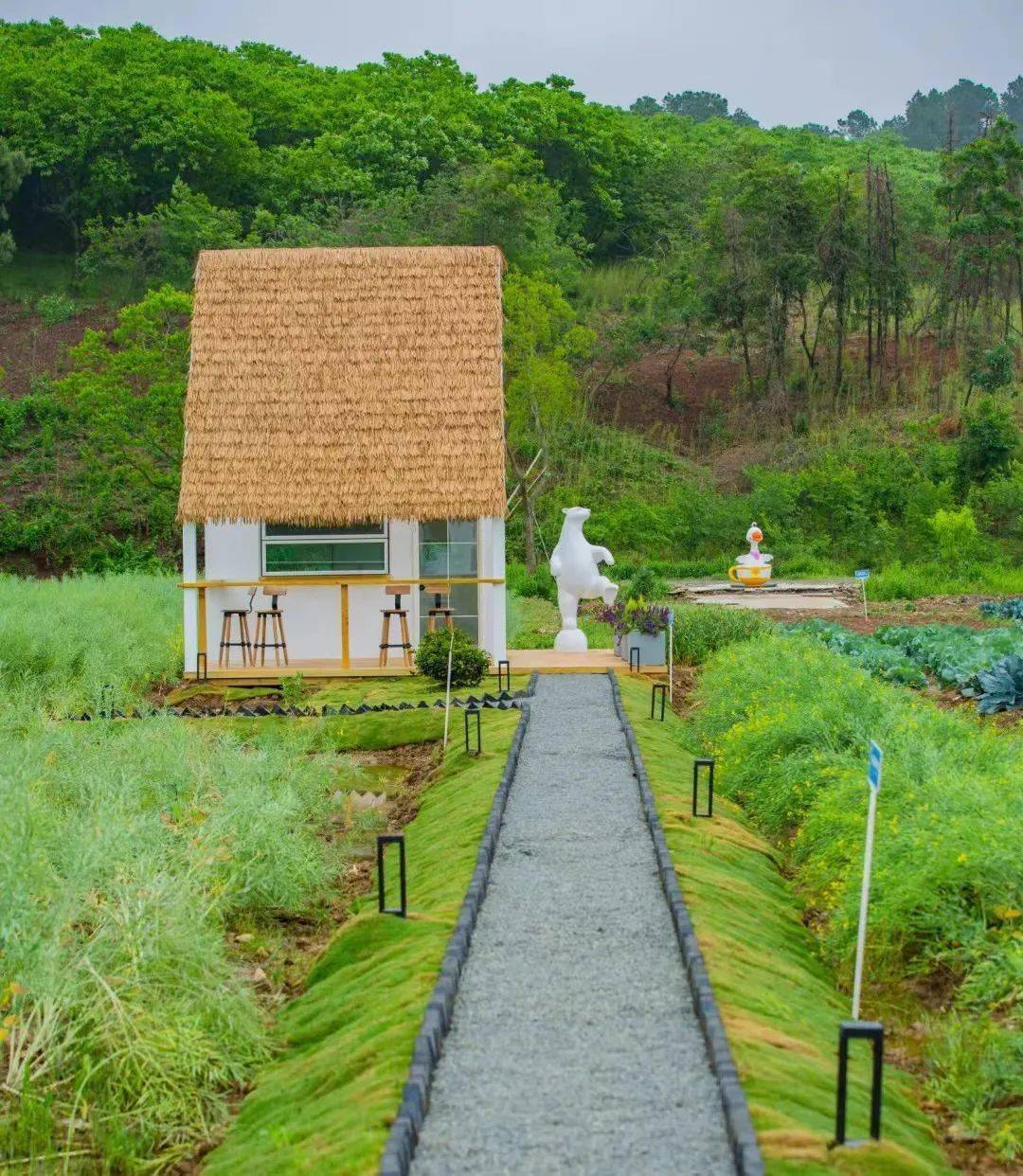 仙姑_乡村_茅山