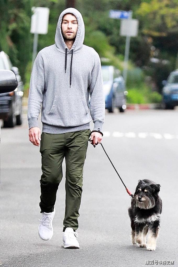 遛狗的美国明星,克丽丝·泰根的牛头犬价值100万_小狗_带着_穿着