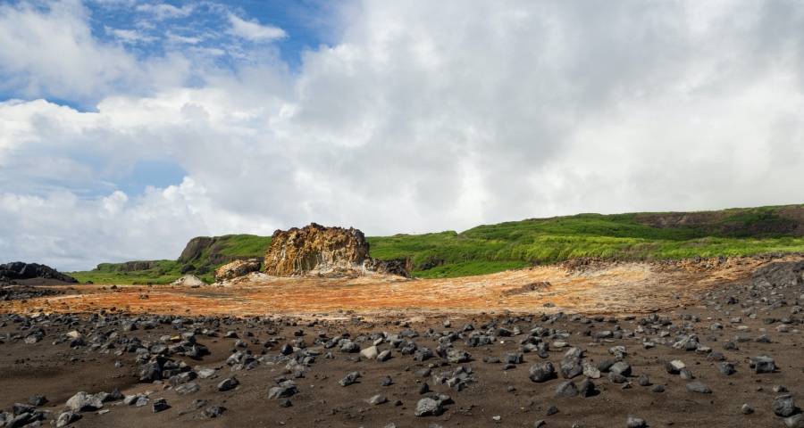 华为又过冬，美的探路格力调整海信出海长虹TCL老板发半年报-家电圈官网