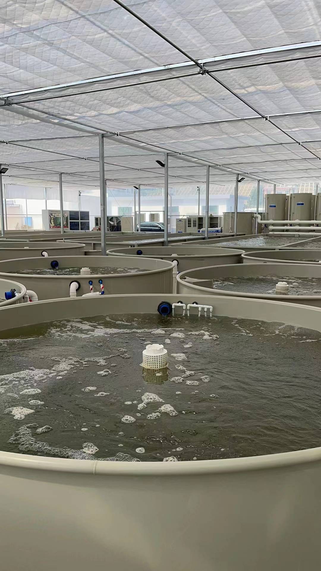 长辰渔业循环泵养殖改良水质;实现零排放零污染_水产_饲料_产业