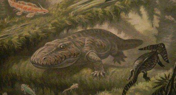 石炭纪10大最恐怖的生物,第六动物界的"二郎神",至