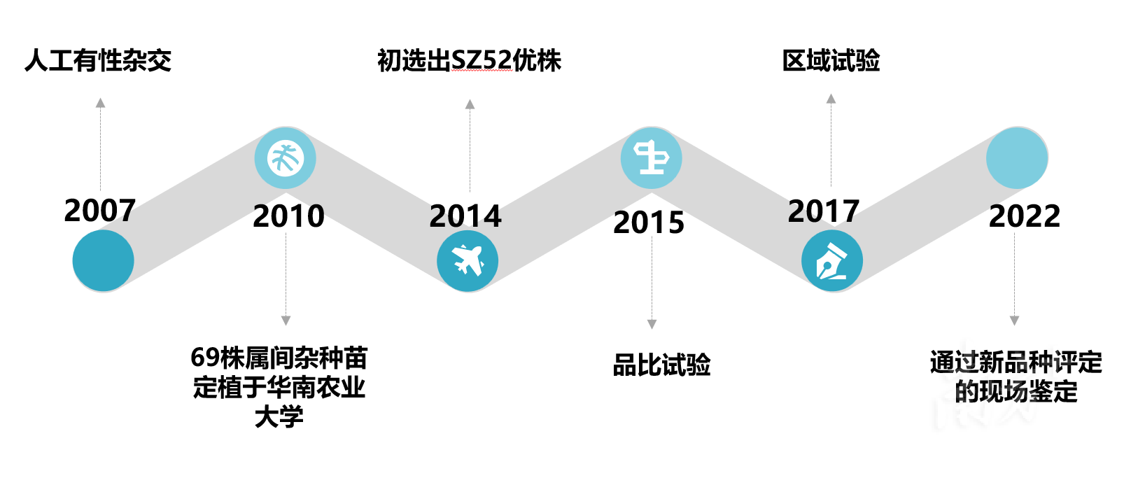 龙眼荔枝杂交新品种 脆蜜 来了 华农教授揭秘培育历程 刘成明 育种 团队 龙眼荔枝杂交新品种 脆蜜 来了 华农教授揭秘培育历程 刘成明 育种 团队
