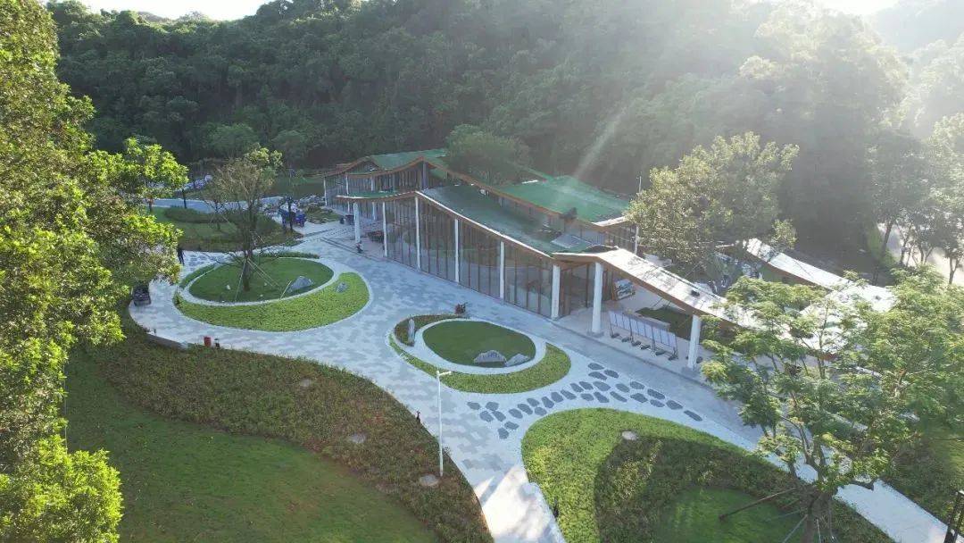罗湖生态碧道又"上新"啦_梧桐_东湖公园_深圳