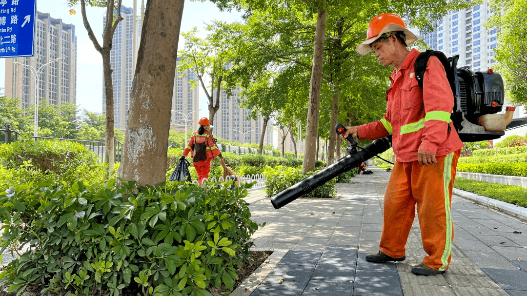 绿化养护收费价格标准