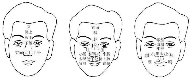 鼻诊图解大全清晰图图片