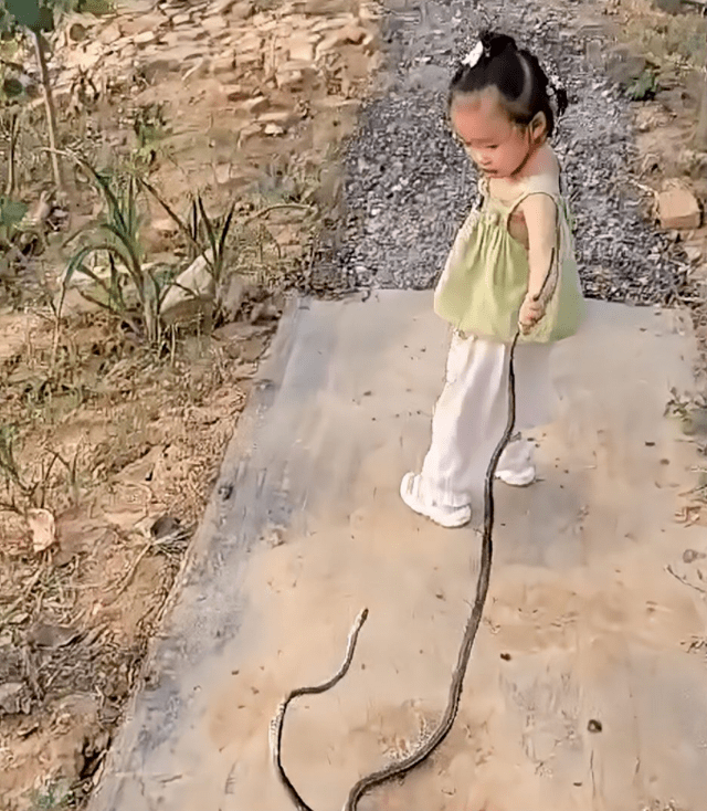 安徽一女孩把蛇干当玩具——《汆肉杂花》