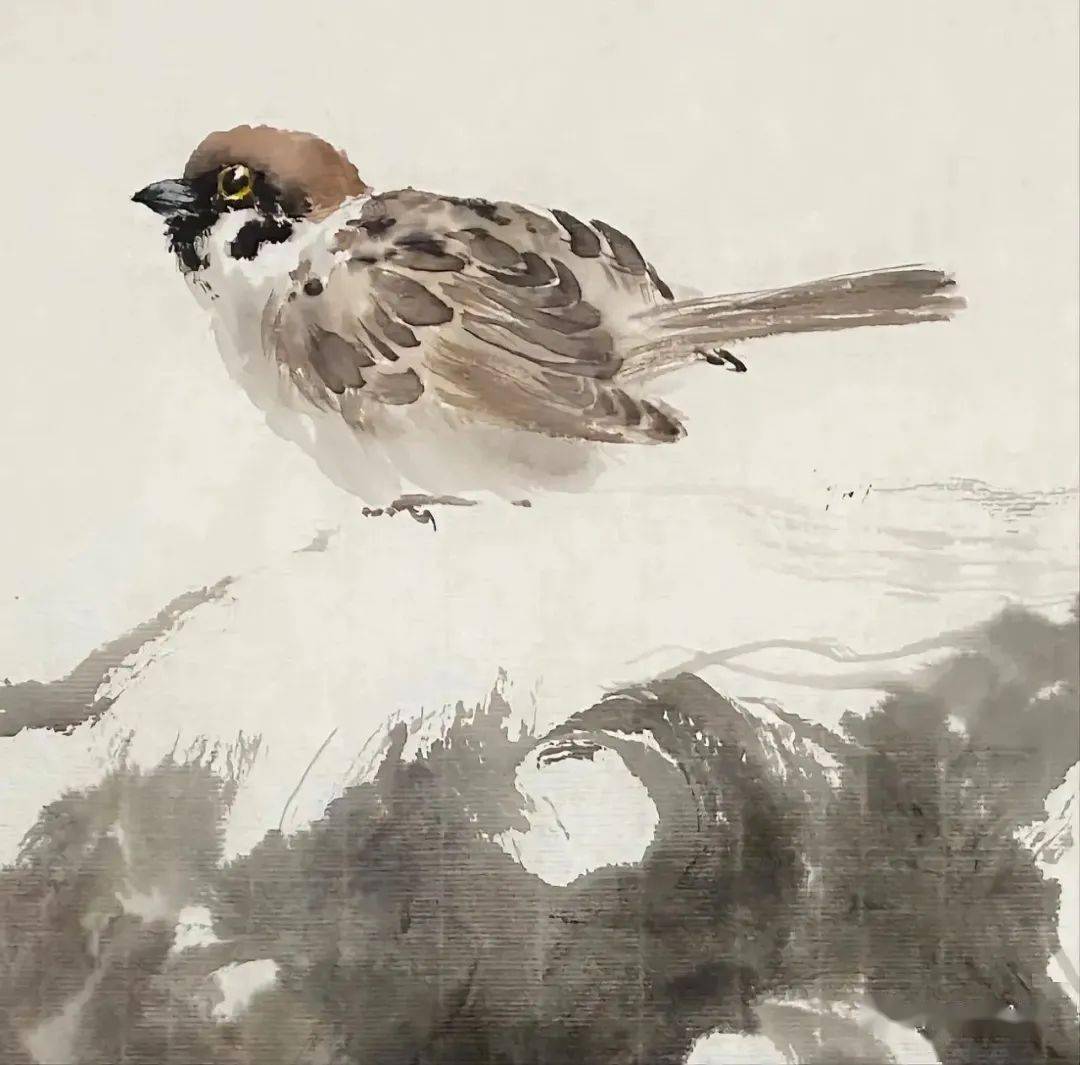 这组小麻雀太可爱了!_书画_频道_内容