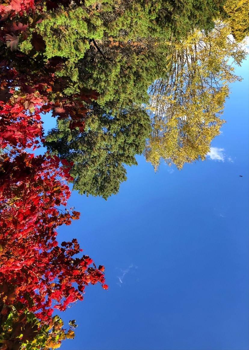 小楼_故人_明月