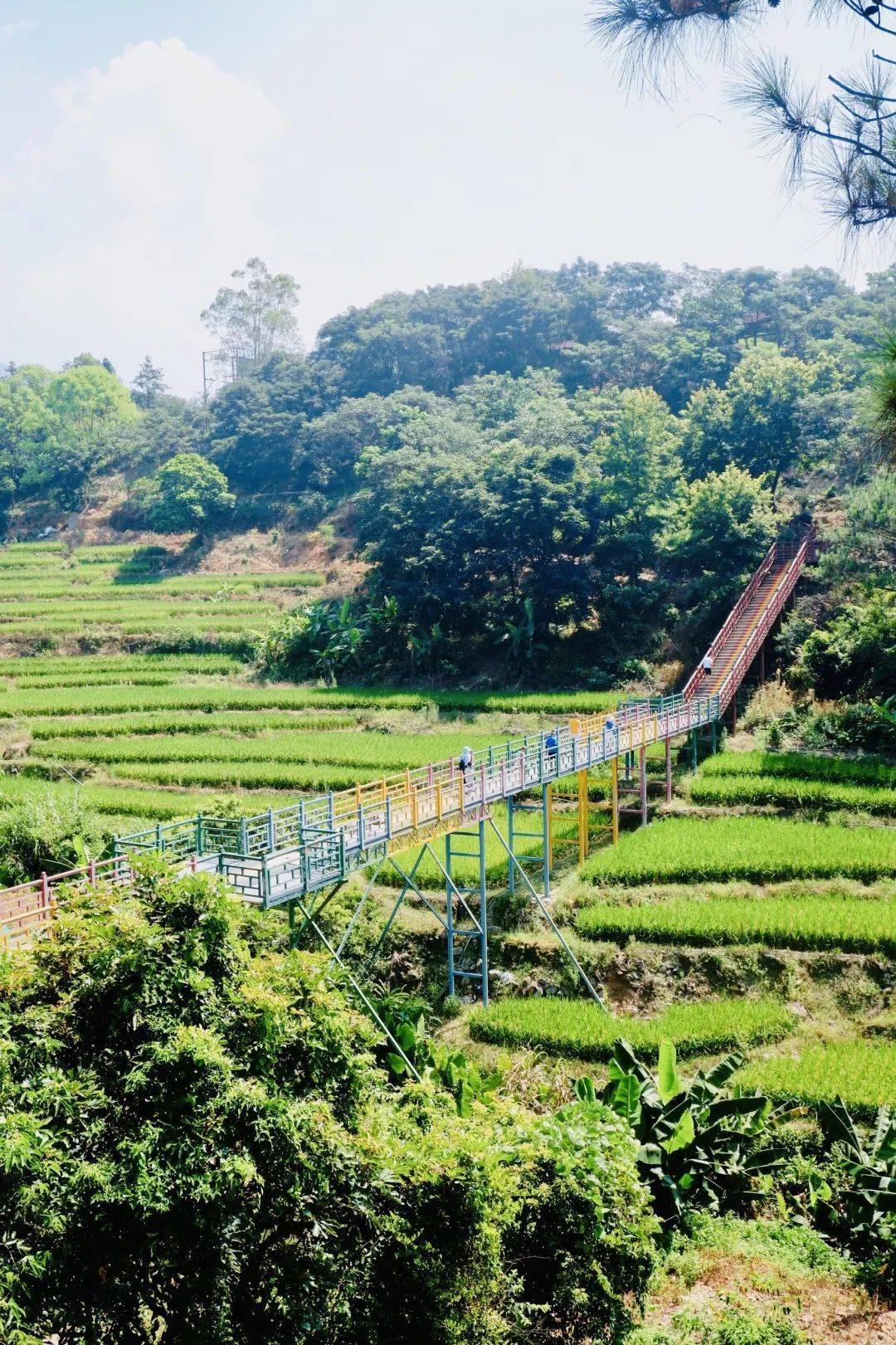 快来pick你最喜欢的旅游线路_同安区_商旅_美食