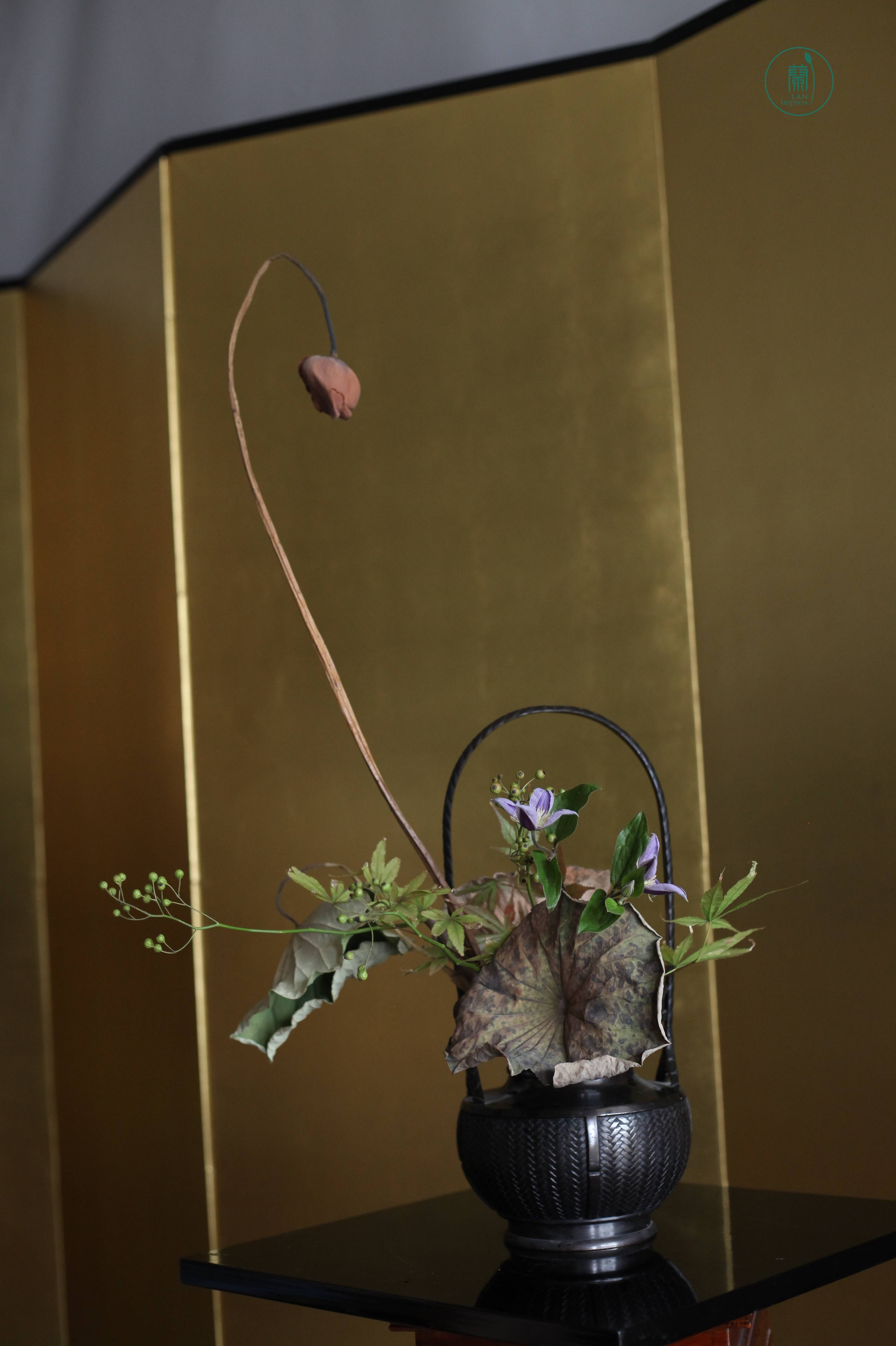 留得枯荷听雨|颓与新意境插花#蘭印象花道专题研修——秋之枯荷 留得枯荷听雨|颓与新意境插花#蘭印象花道专题研修——秋之枯荷