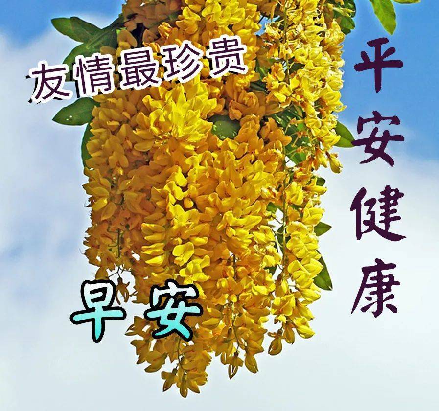 8张最新创意好看的早安早上好图片带祝福语 不用打字聊天的早上好问候
