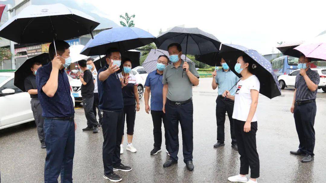 武都区政府毛鲜花图片