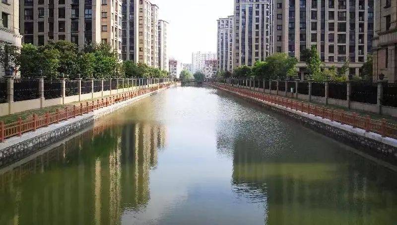 宝山这个镇被评为上海市河长制工作先进集体_大场镇_治理_整治