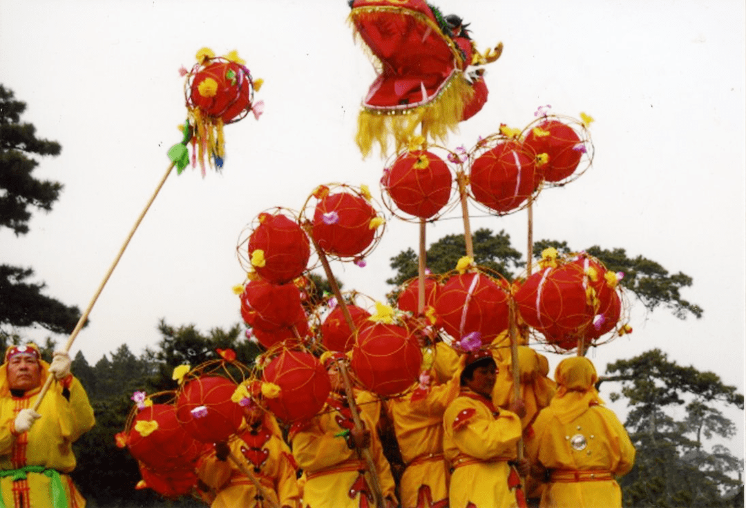 中国许多地方都有舞龙表演,清苑的绣球龙灯有何不同?