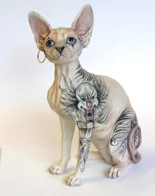 无毛猫为什么看起来那么邪恶_加拿大_温度_基因