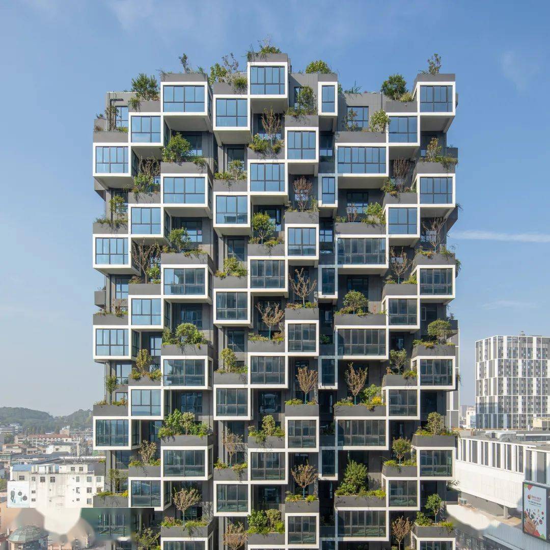 垂直森林,只是徒有虚名的"绿色"噱头?_埃里_城市_建筑