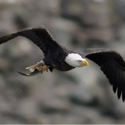 自然演化的奇迹