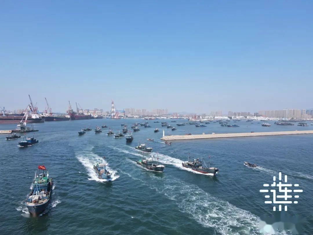 今天,大连开海!_执法_违法_海上