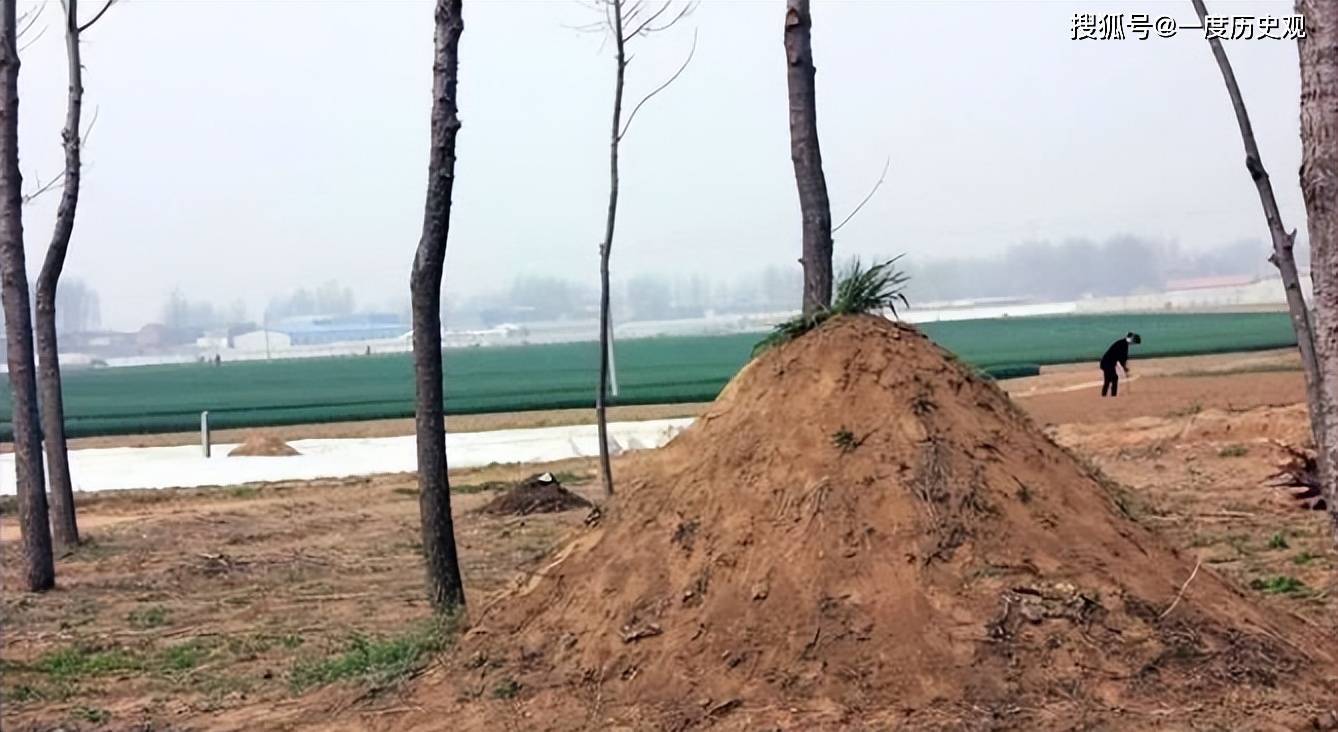 祖坟_坟墓_中国