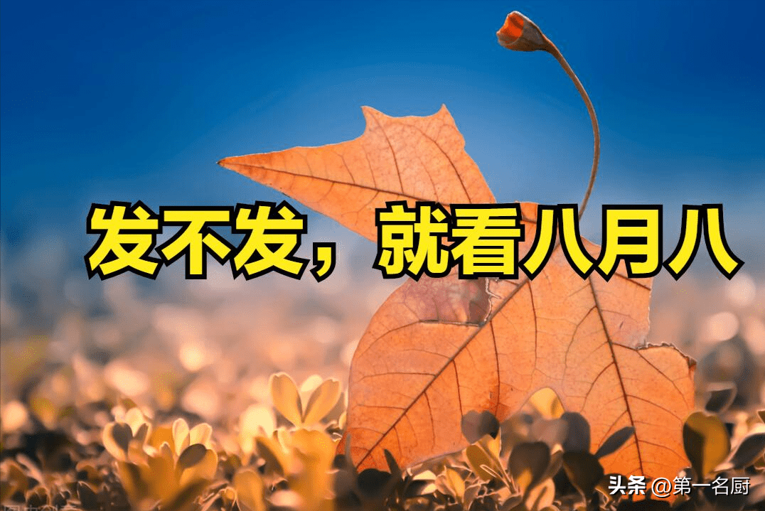 发不发