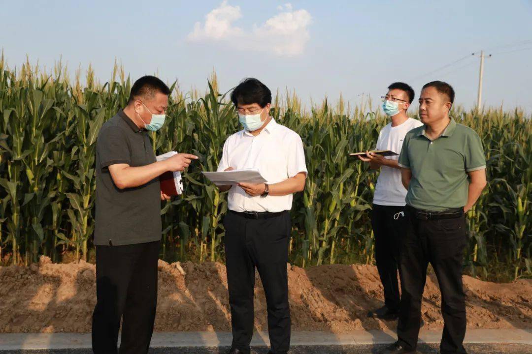 黄会安还来到客运站,县城街角口袋公园,双桥孵化基地