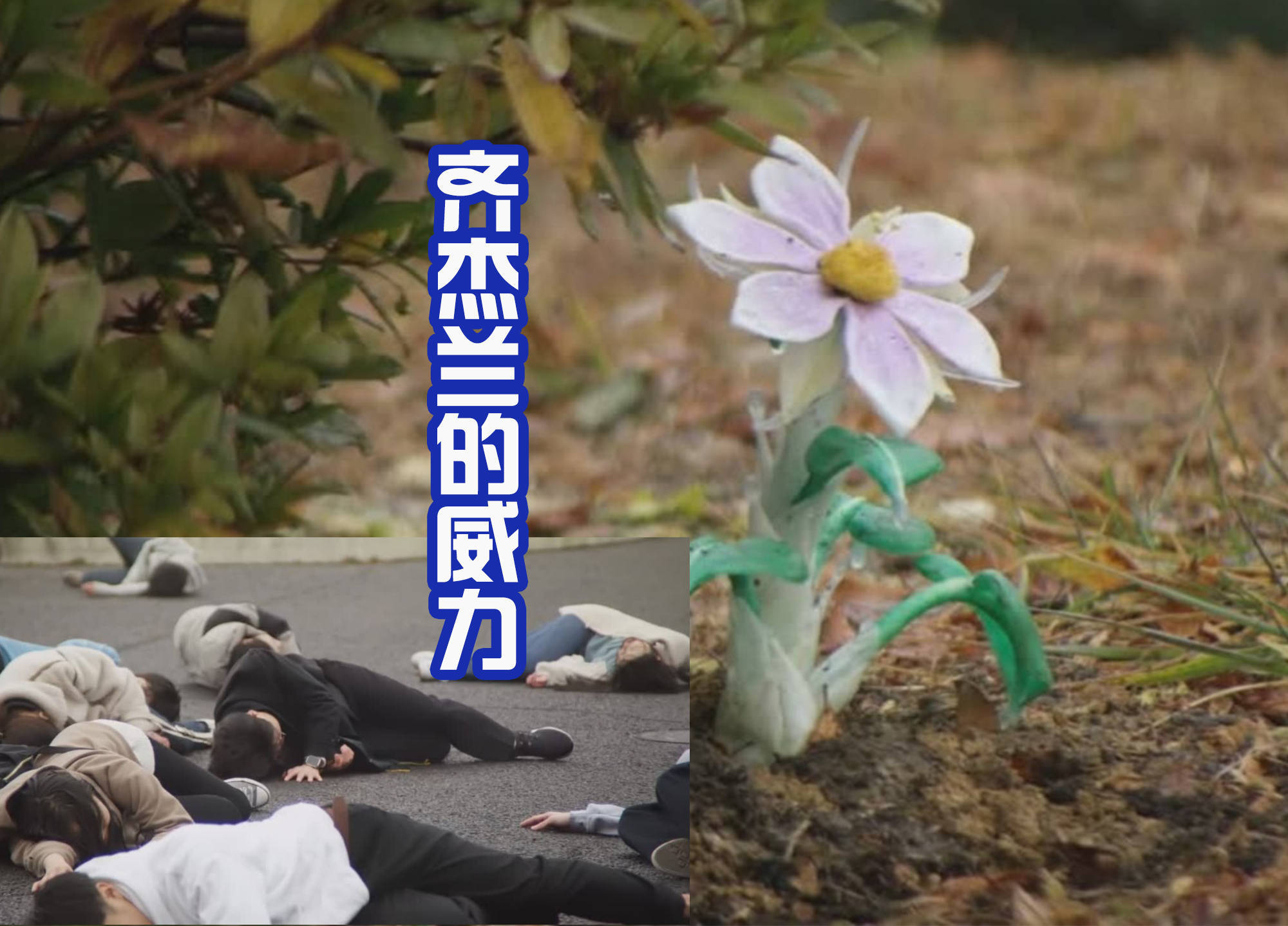 《德凯奥特曼》第八话的开始,主要是在城市中出现了一株和露露耶很