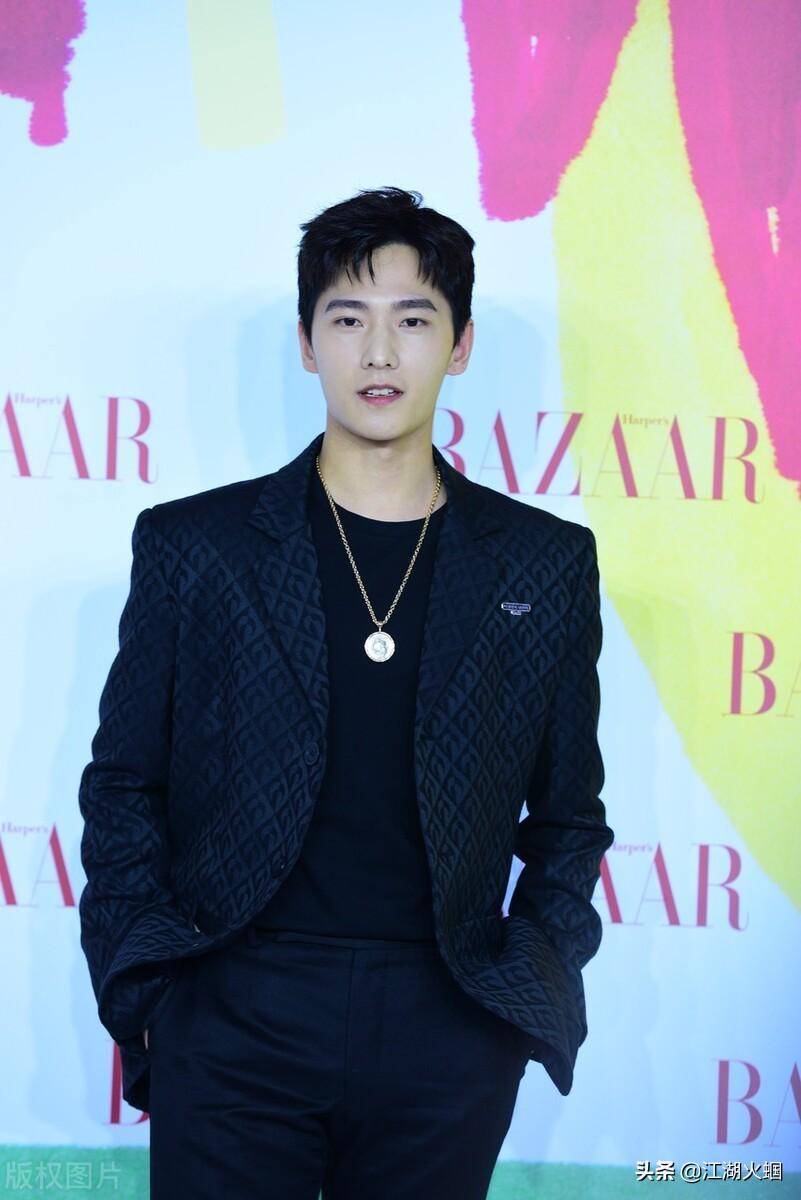 周雨彤 雷佳音 赵露思 任嘉伦 杨洋 热依扎 张天爱_影响_蓝台新_林一