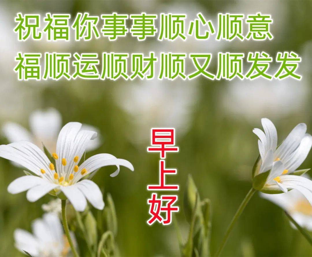 8张秋日清晨最新早上好图片带字语录,新的一天早安问候祝福语大全简短