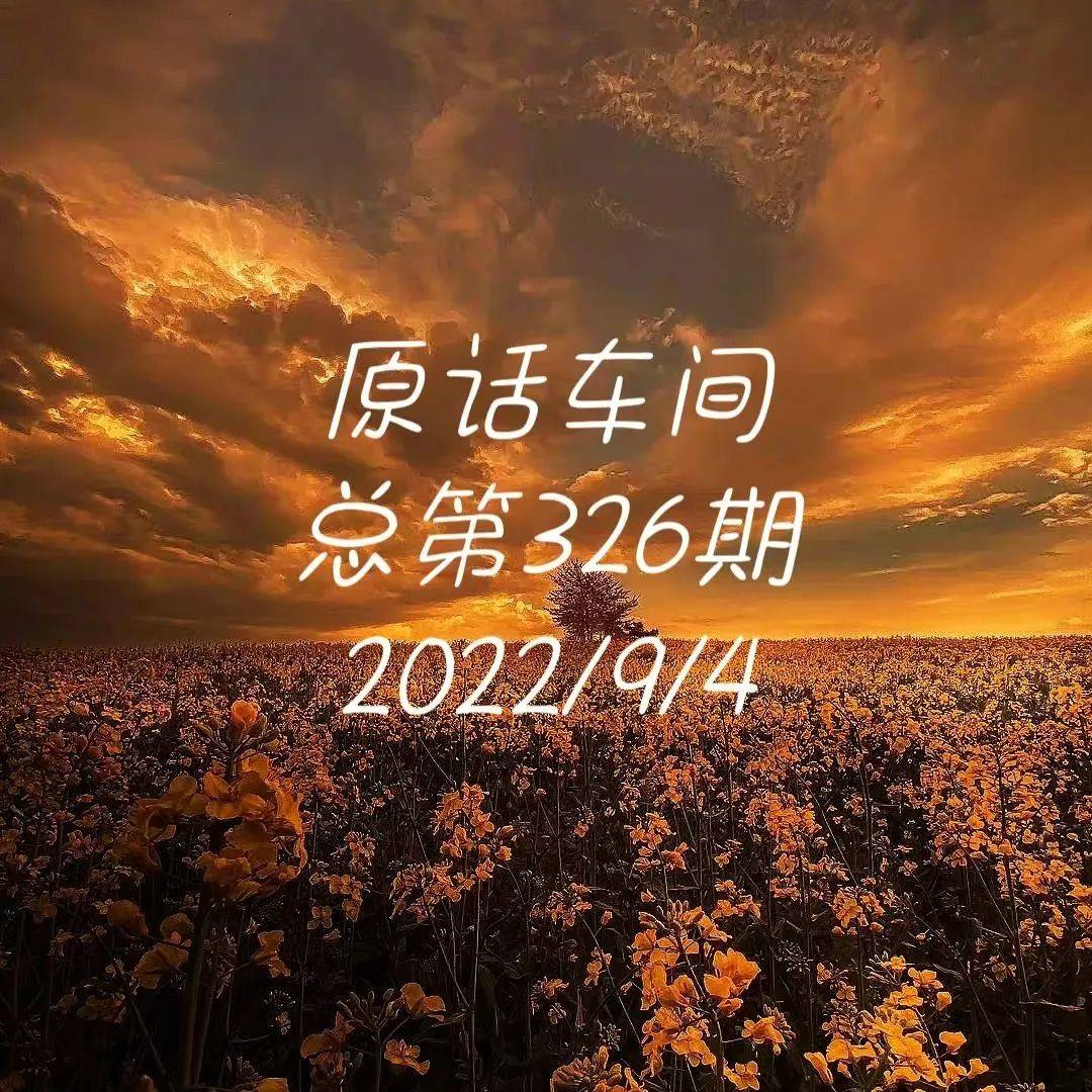 原话车间 | 总第326期_许楠_许浩_王江姗