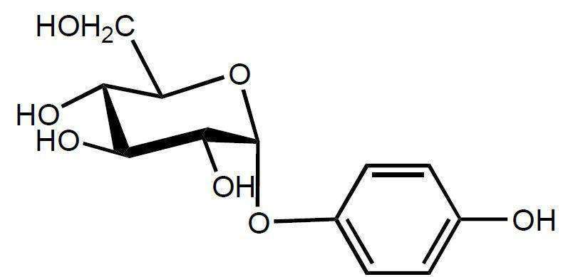 药学博士:熊果苷这个成分竟然是隐藏的美白大佬?