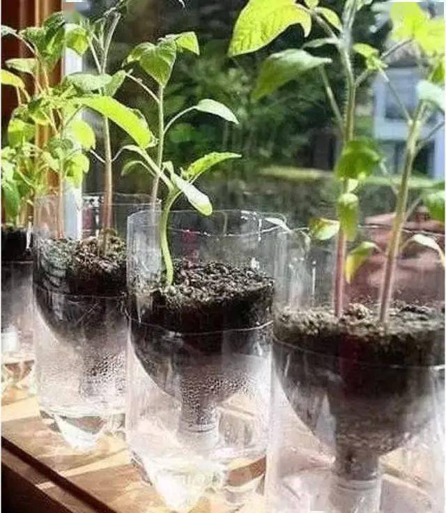 【课程推荐】废旧物品大改造,这些生活小技巧你不知道太可惜!