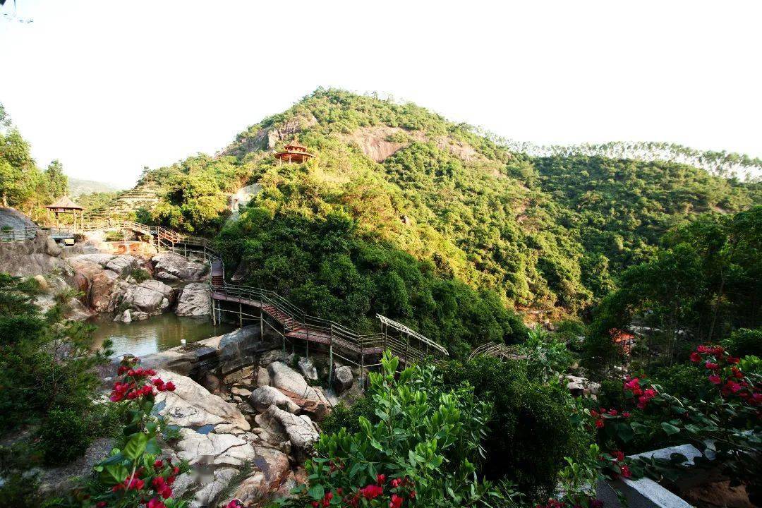 特价99元【9月12日发团】潮州紫莲生态旅游景区,动物园,泰佛殿,古城