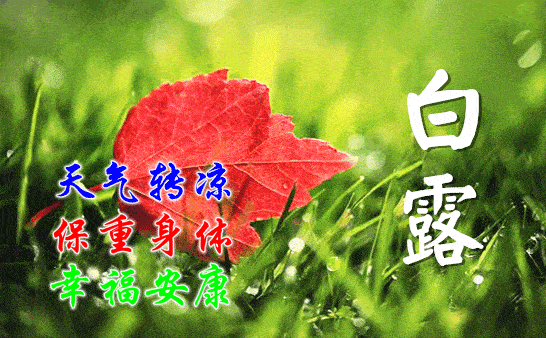 2022白露节气早上好问候祝福动画表情包 白露早安问候祝福语动态表情