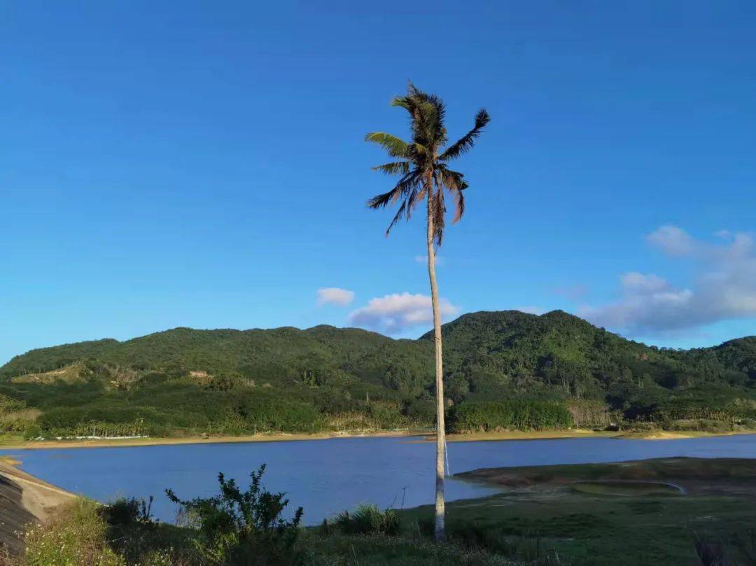 閒看遠山意澹然,煙客立盡孤鴻影.幾時再去,作個閒人.