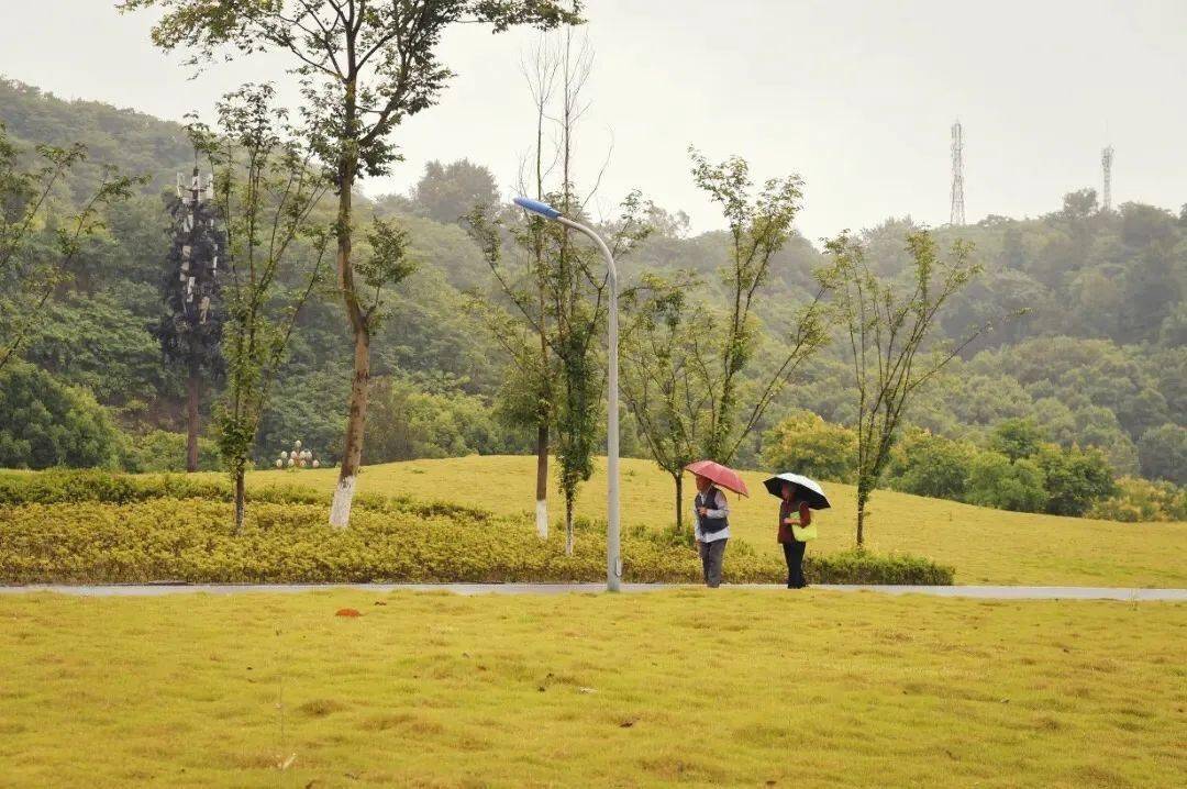 玉屏公园实拍图铜鼓湖公园实拍生活在这里,目之所及皆是山水美景,每日