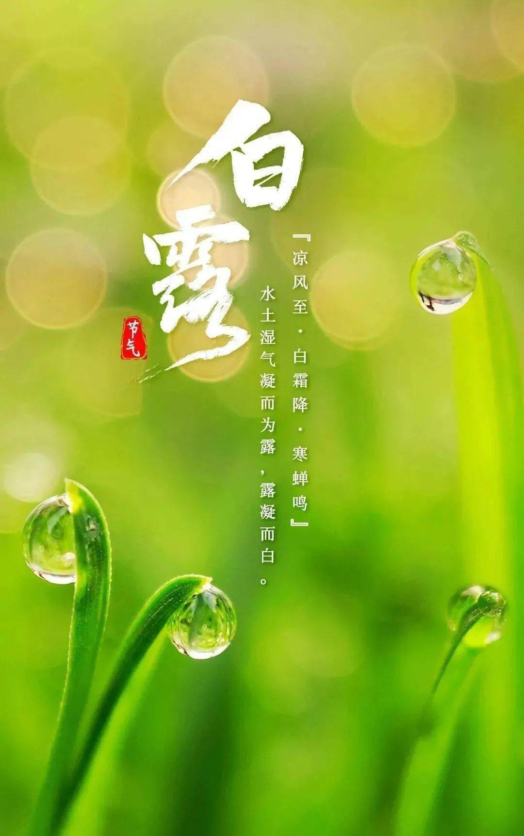 每日· 心语_白露_亲爱的朋友_宇儿