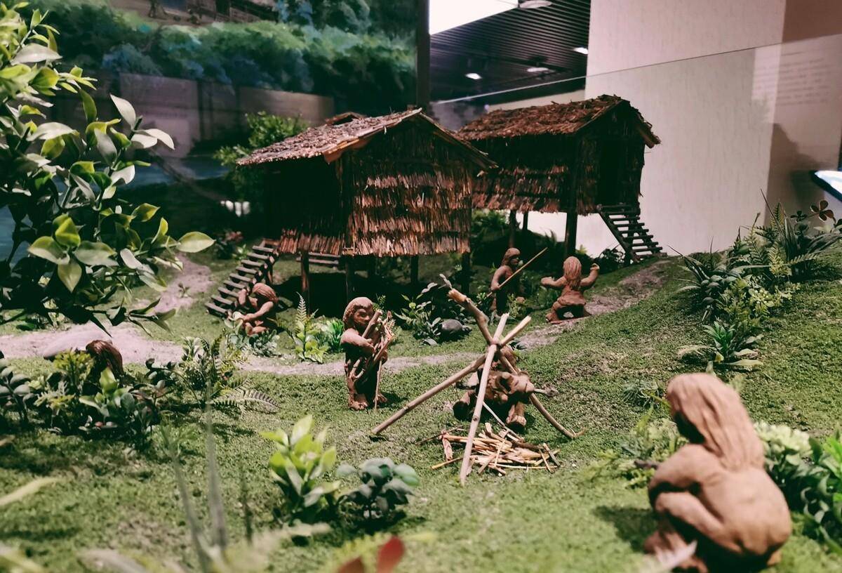 传说中的有巢氏,在安徽省立国,国家直到春秋时期才被灭亡_动物_丛林