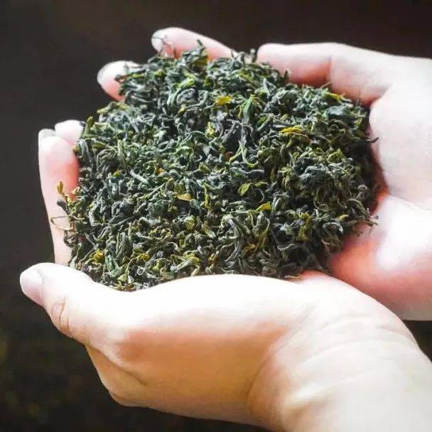 节气茶饮 | 白露·秋香_夏茶_春茶_归院