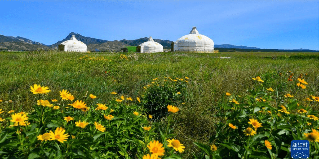 奋进新征程 建功新时代·非凡十年丨敕勒川:告别砂石滩,回归大草原_大青山_呼和浩特_生态