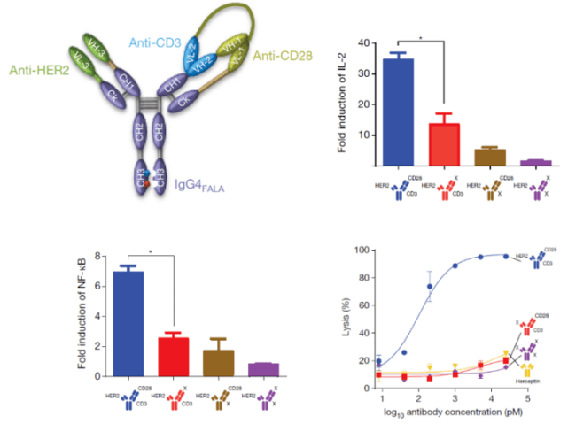 看官好，我是江湖“万物可CAR”的CD3/CD28单抗偶联磁珠_细胞_抗体_分子
