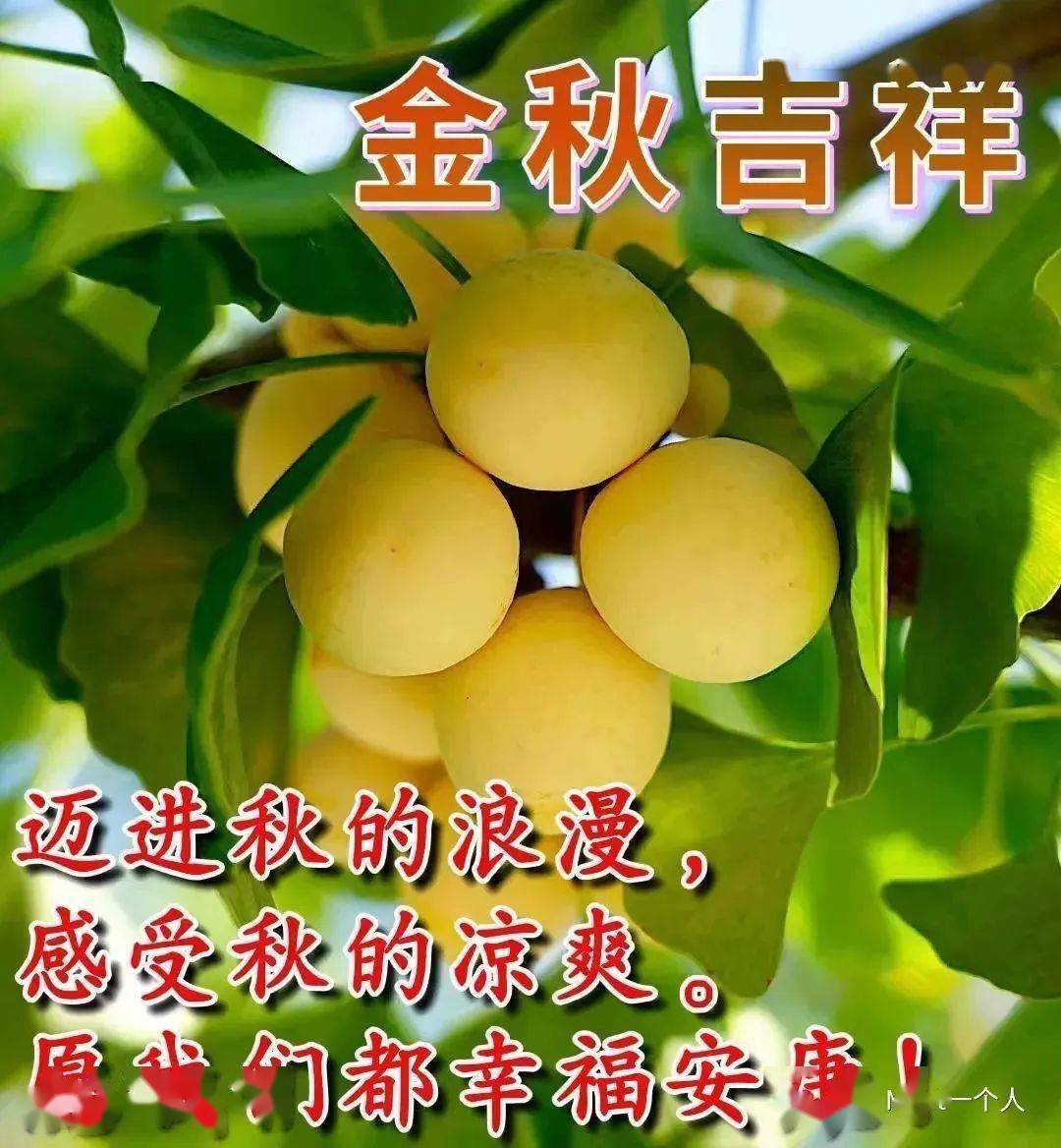 最新创意好看的早上好祝福图片带字 2022唯美秋天早安问候_梦中_阳光